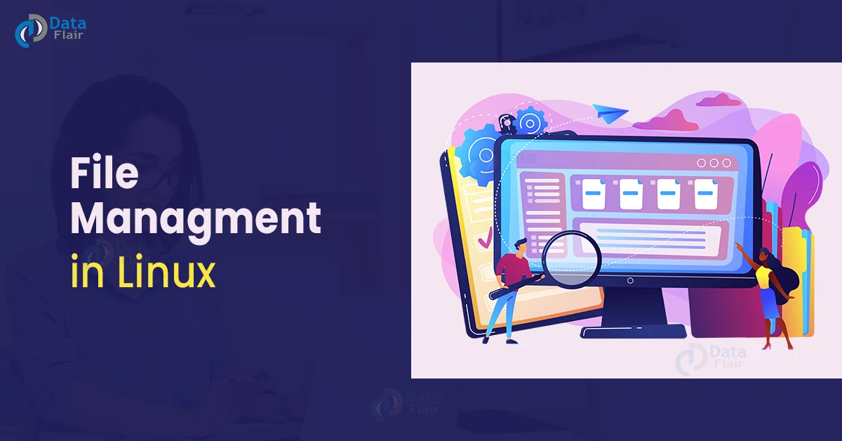 Linux File and Directory Management