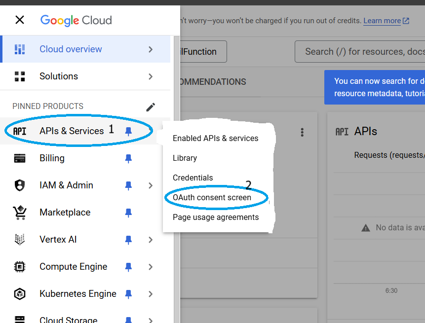 Google Cloud API and Services Process