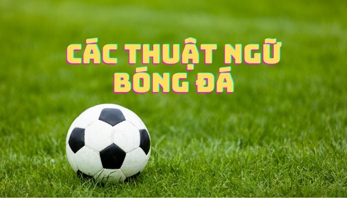 Giai ma thuat ngu bong da: Bi quyet cho fan moi bat dau