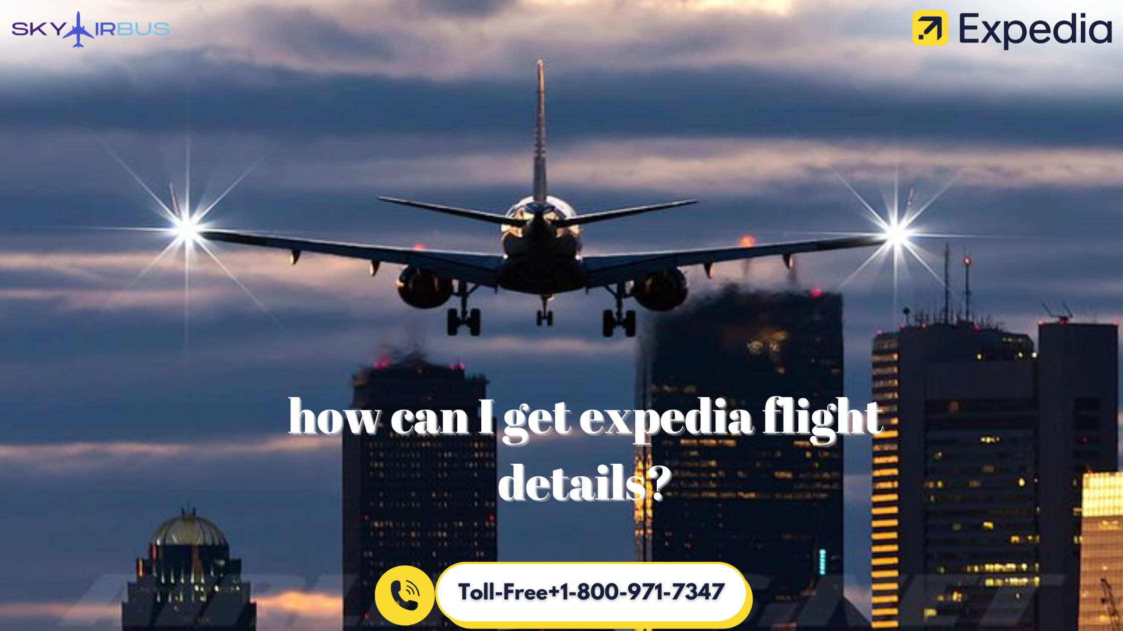 how can I get expedia flight details?