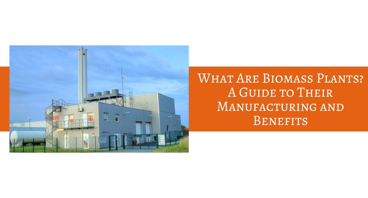 What Are Biomass Plants? A Guide to Their Manufacturing and Benefits