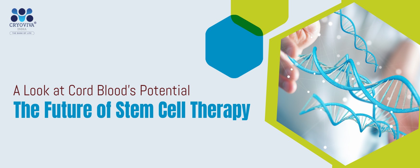 The Future of Stem Cell Therapy: A Look at Cord Blood's Potential