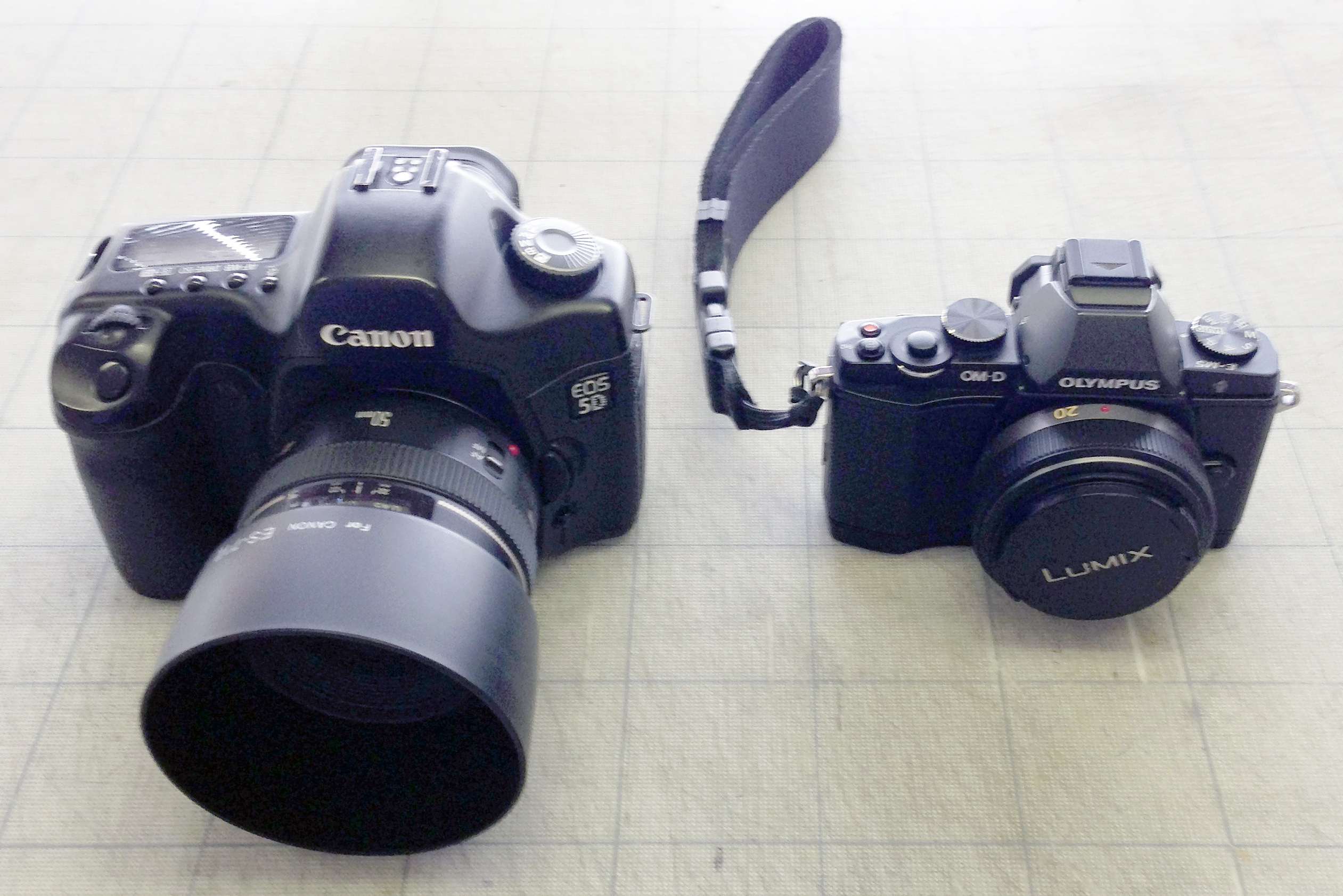 DSLRs vs. Mirrorless Cameras: Which One is Right for You?