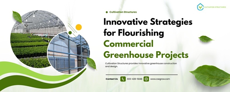 Innovative Strategies for Flourishing Commercial Greenhouse Projects
