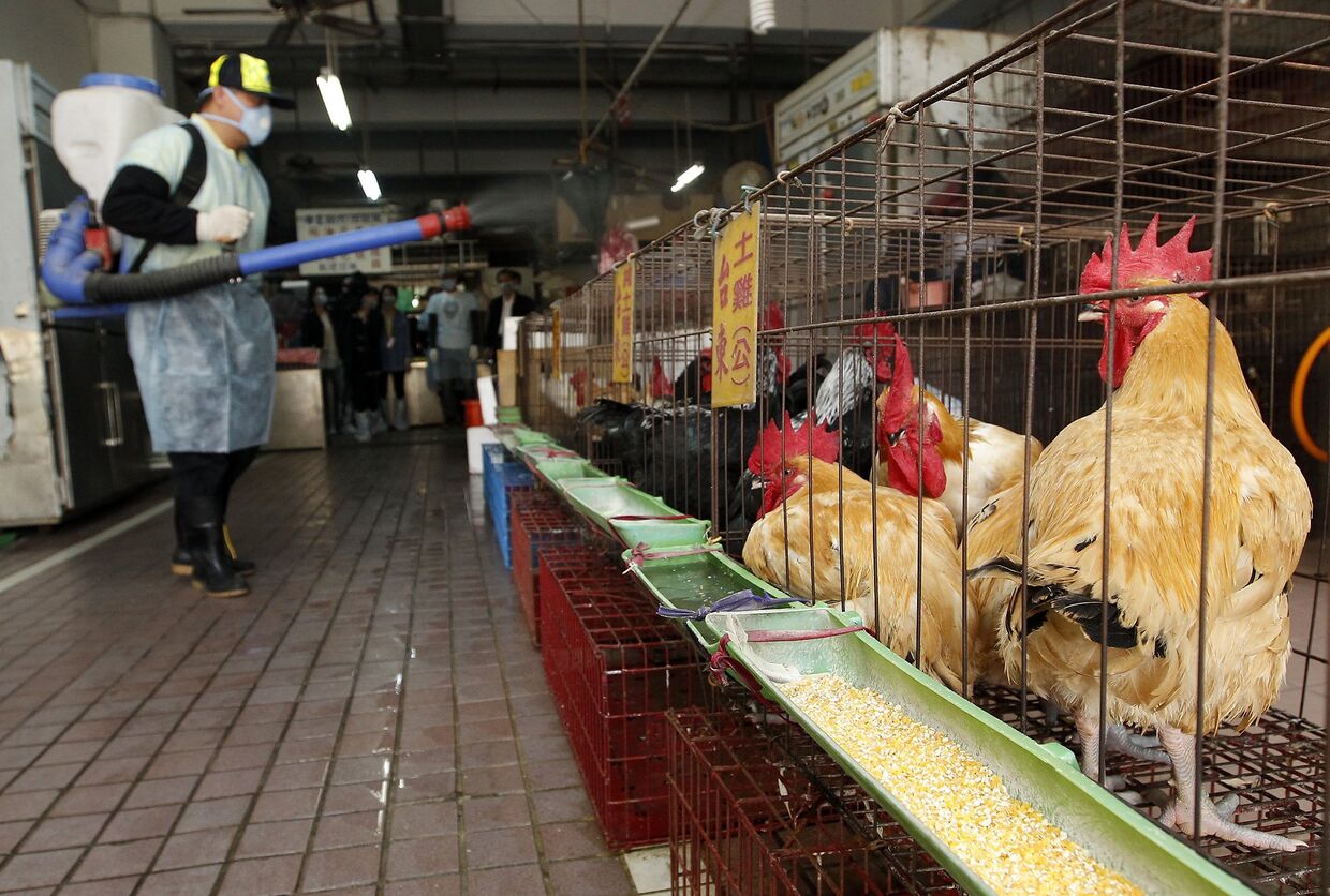 Poultry Pharmaceuticals Market is Estimated to Witness High Growth Owing to Rising Demand for Chicken Meat Globally
