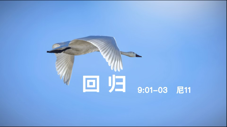 notion image
