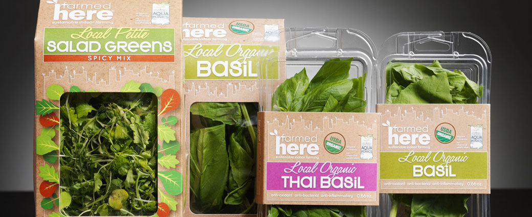 The Rise of Sustainable Food Packaging: Innovating for a Greener Future
