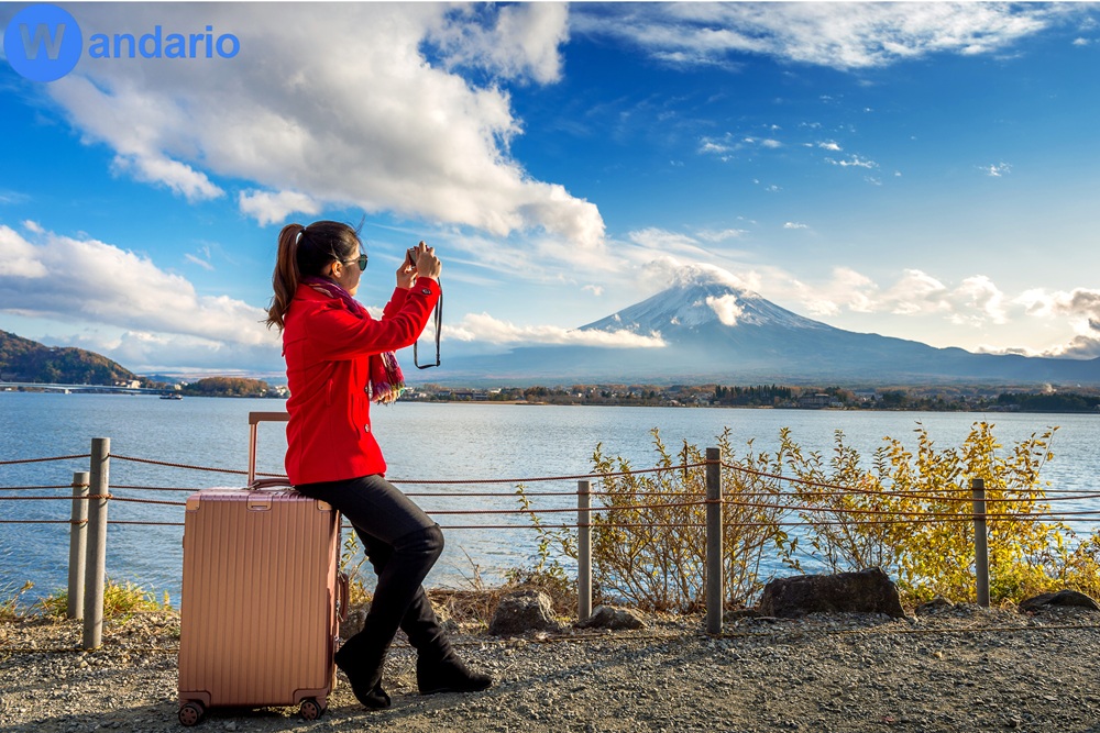 Why Wandario is the Best Travel Companion
for Solo Travelers