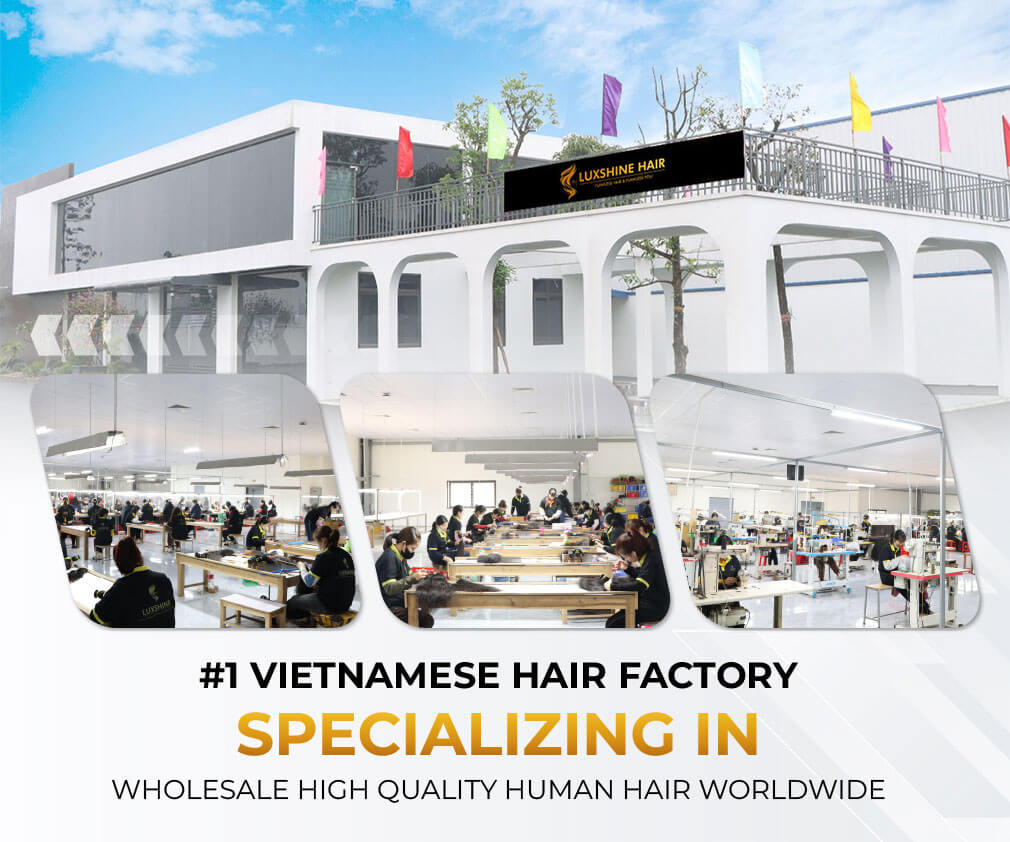 Luxshine Hair – Vietnamese Hair Vendor with Years of Trust