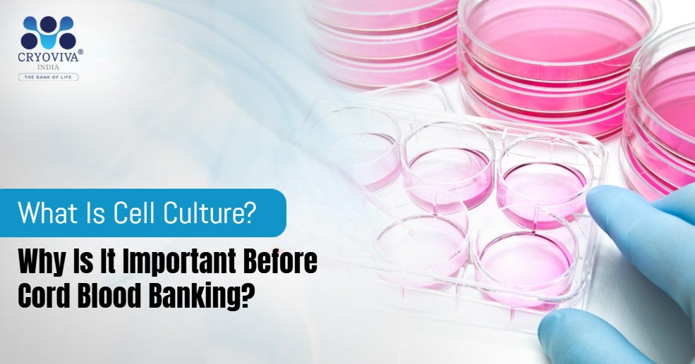 What Is Cell Culture? Why Is It Important Before Cord Blood Banking?