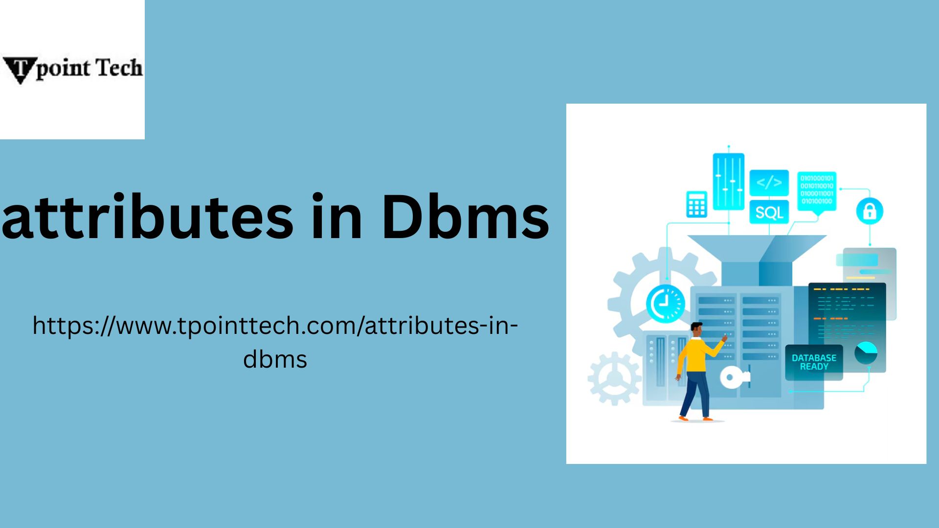 Understanding Attributes in DBMS