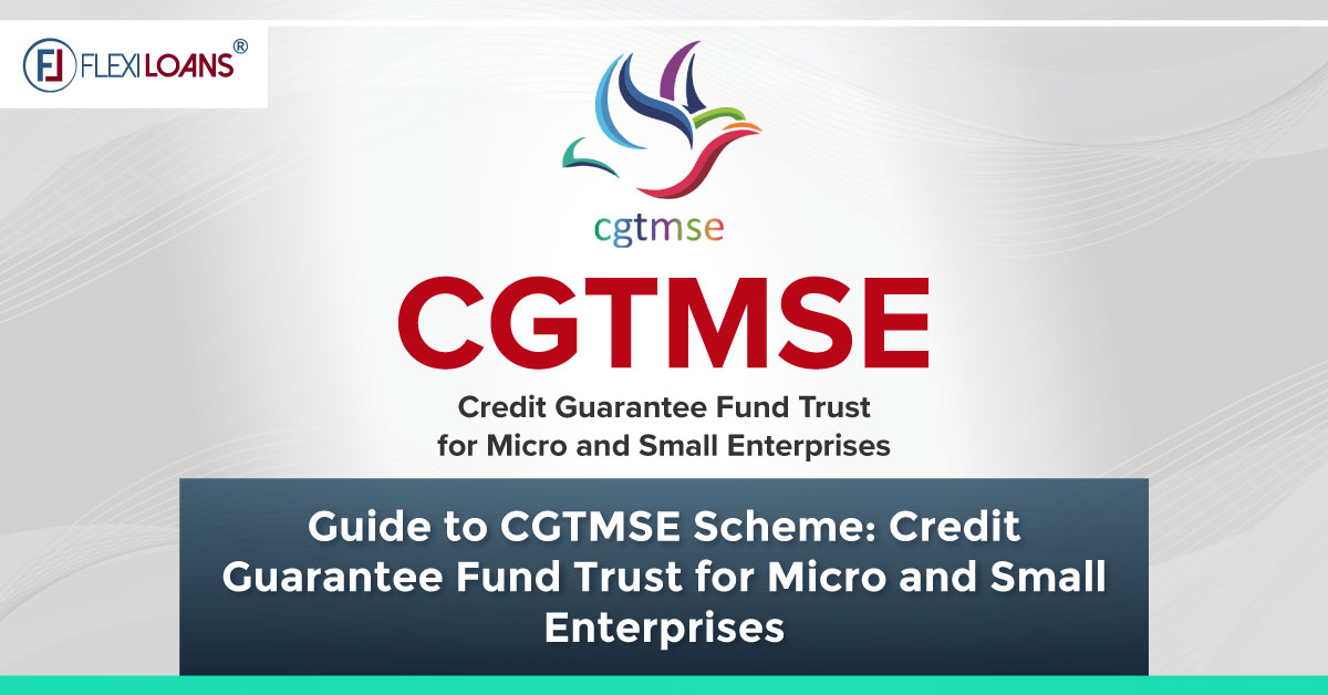 The Role of CGTMSE in MSME Risk Management