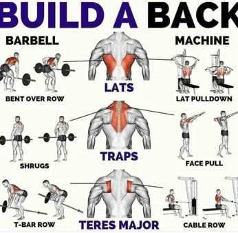 Back Gym Workout Routine - Build Width, Thickness, and Strength