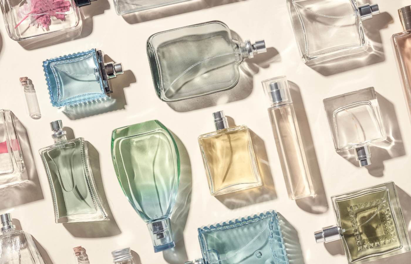 Best Perfume For Men And  Women Under 500: You’ll Love