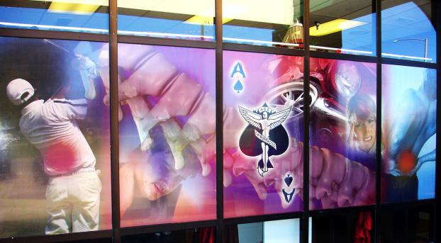 Office Window Graphics: Enhance Privacy, Productivity, and Brand Presence
