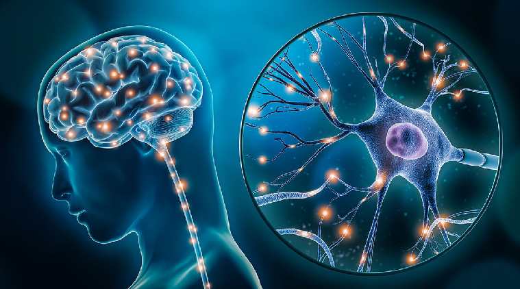 Neuroplastic Wearables: Rewiring Recovery in Real-Time