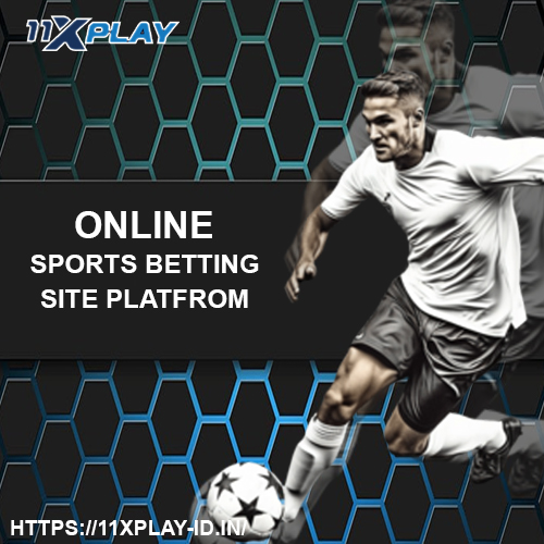 Track Your Bets Like a Pro on 11xplay Online