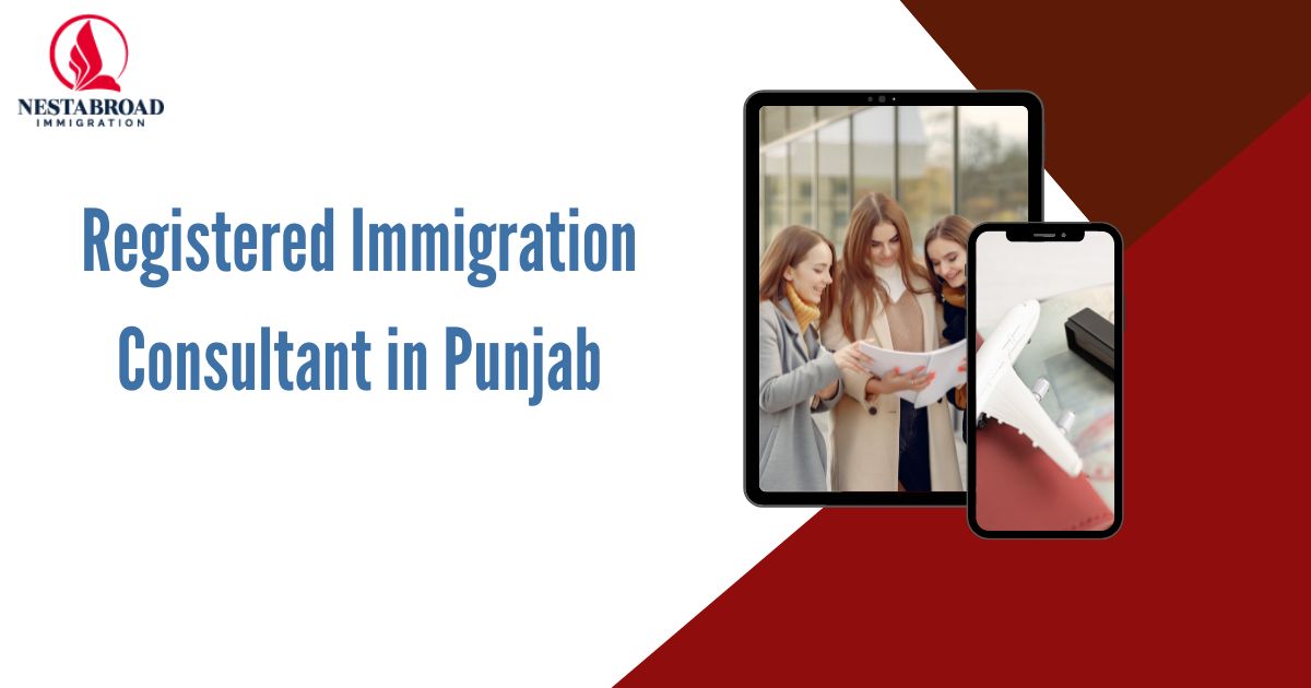Why Do You Need a Registered Immigration Consultant in Punjab for a Stress-Free Process?