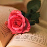 skyward