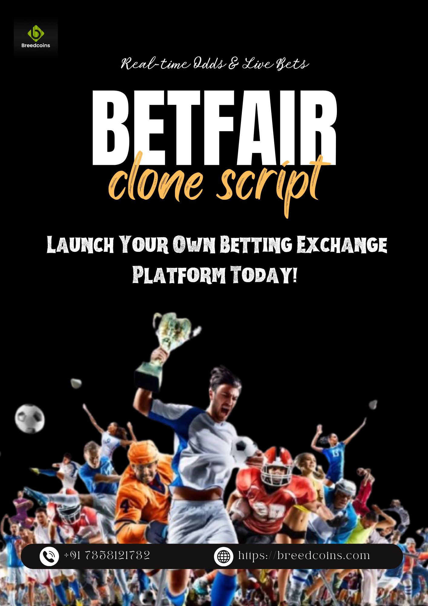A Top - End Guide To Starting A Profitable Betting Platform – Powered By BreedCoins