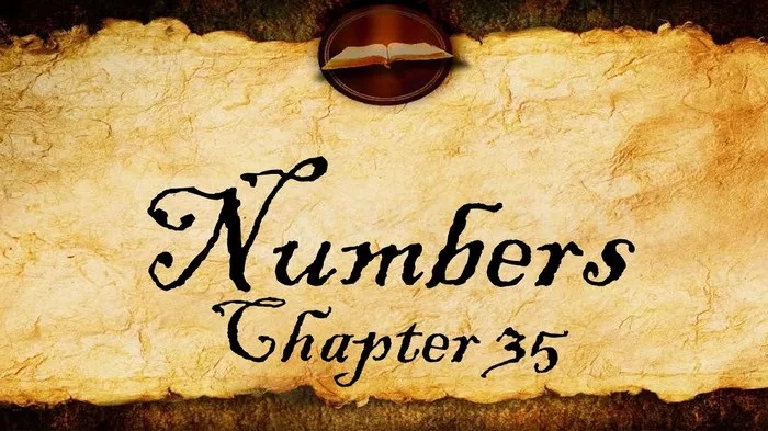 Numbers Chapter 35 (Summary & Lessons)