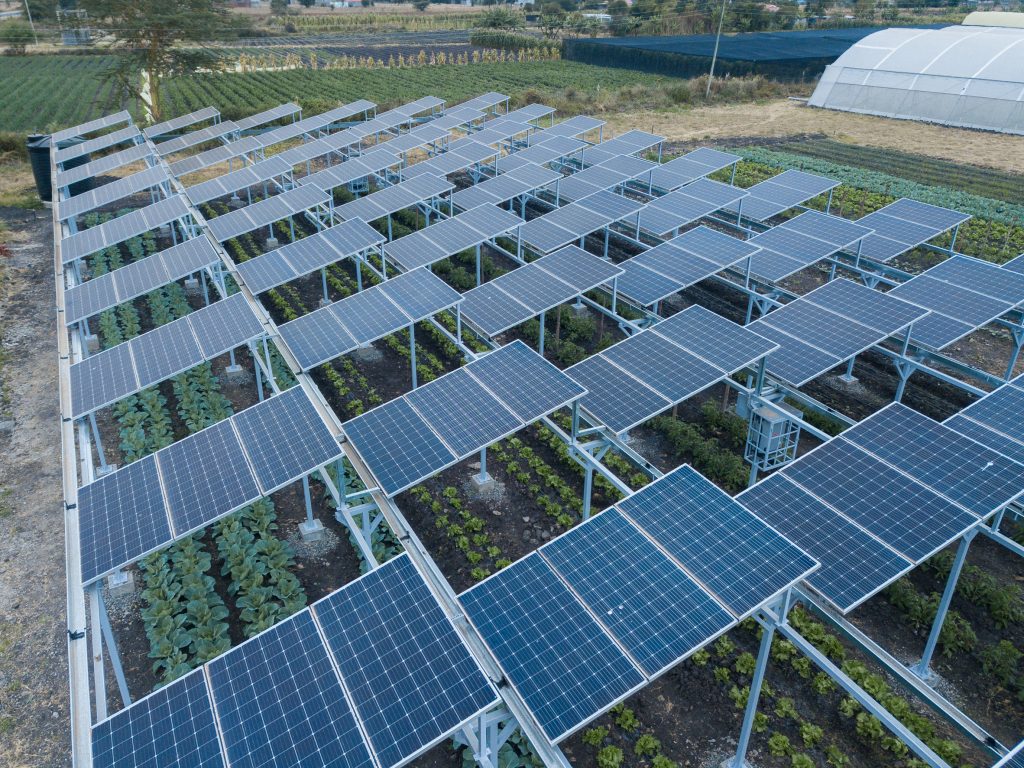 How Agrivoltaic Systems Are Revolutionizing Solar Power Generation