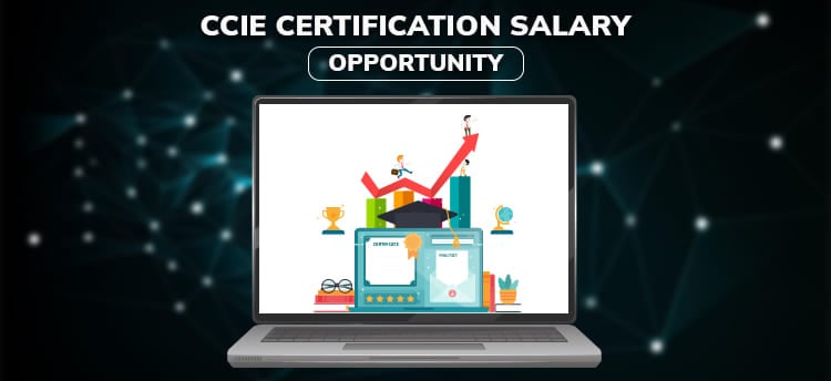 CCIE Salary in India vs USA: What Can a CCIE Network Engineer Expect to Earn?