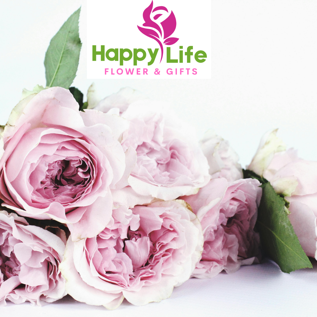 Top 10 Affordable Bouquets in Abu Dhabi with Same-Day Delivery Service