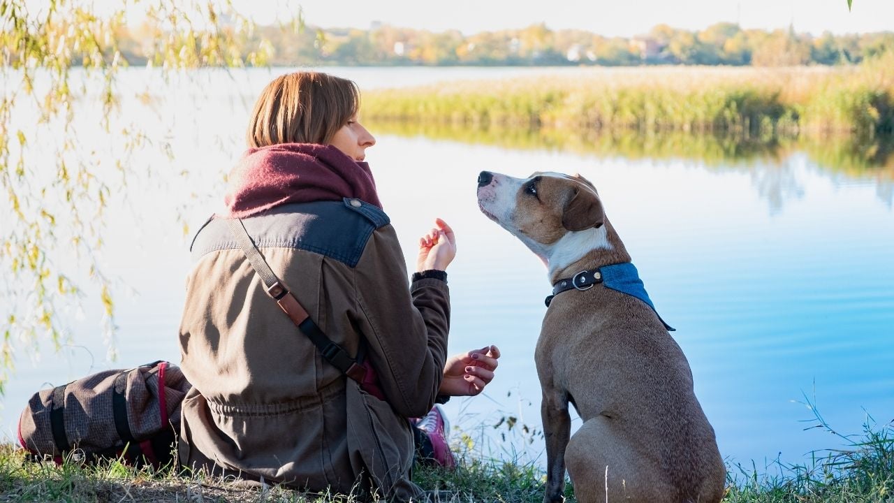 köpeğiyle göl kenarında oturan bir kadın