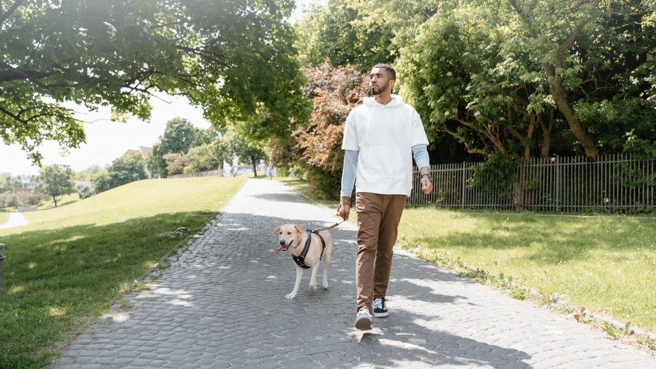 köpeğiyle yürüyüş yapan adam