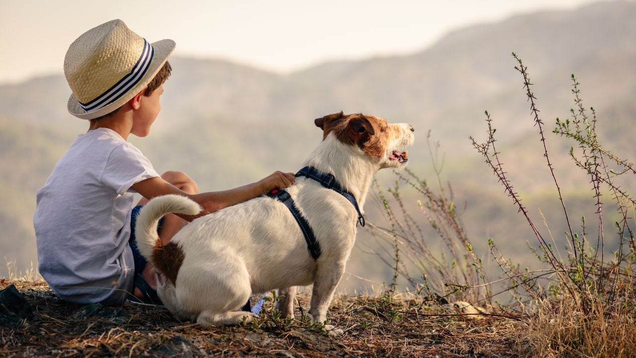 çocuk ve köpek oturuyor