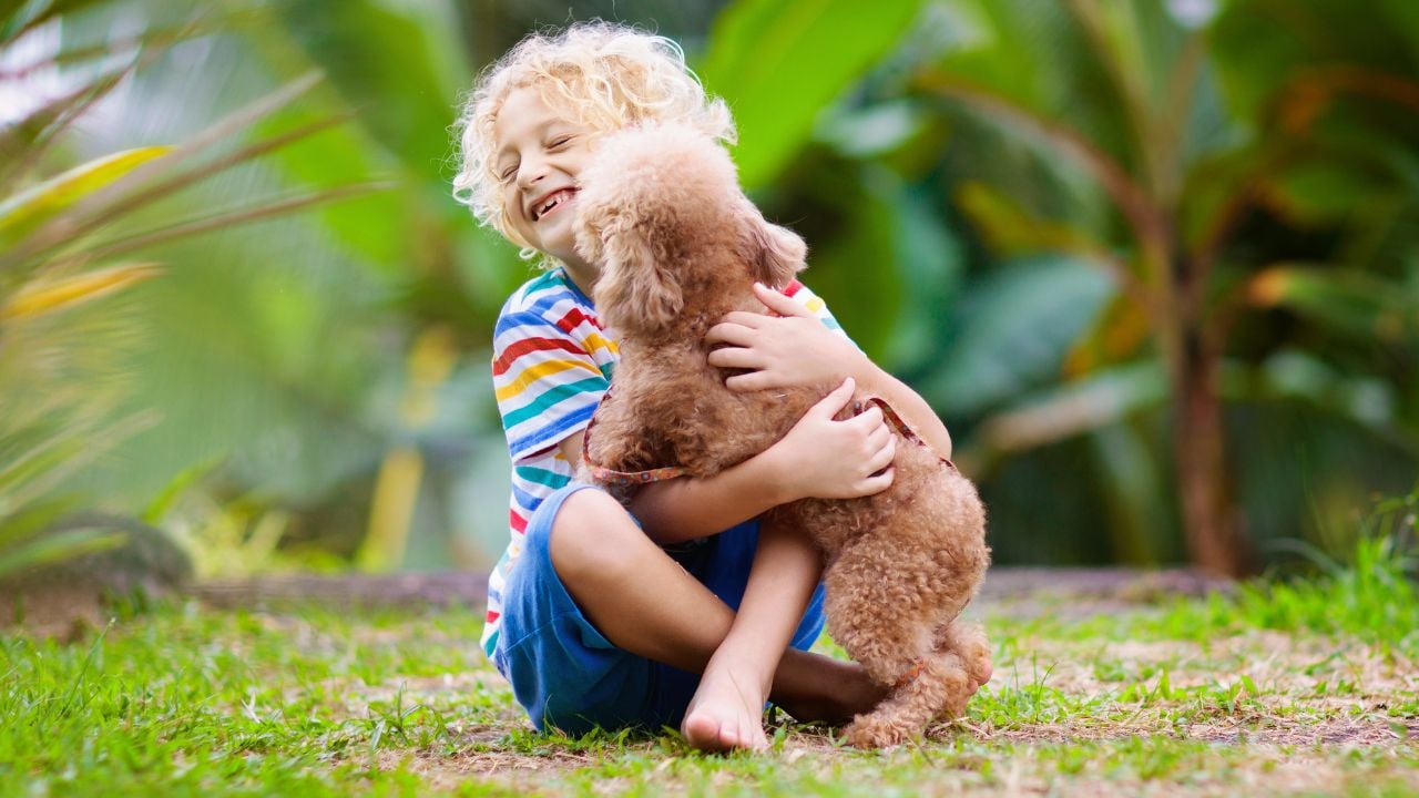 çocuk köpeğine sarılıyor