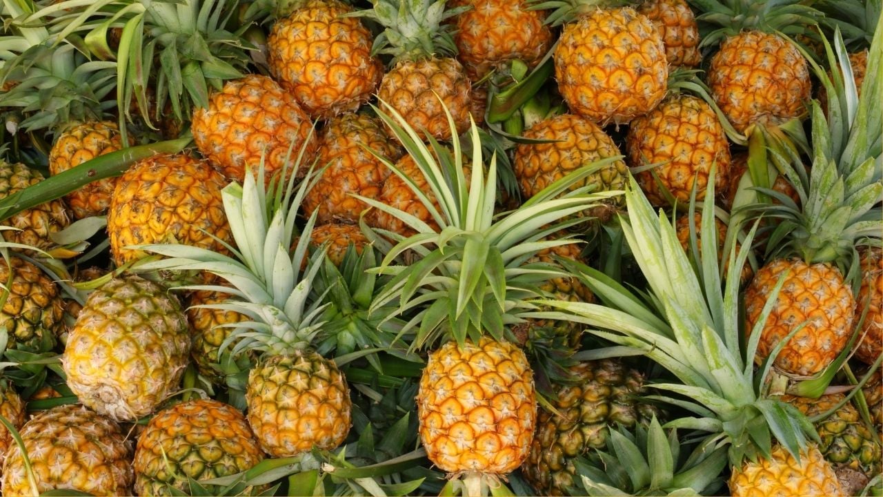 ananaslar