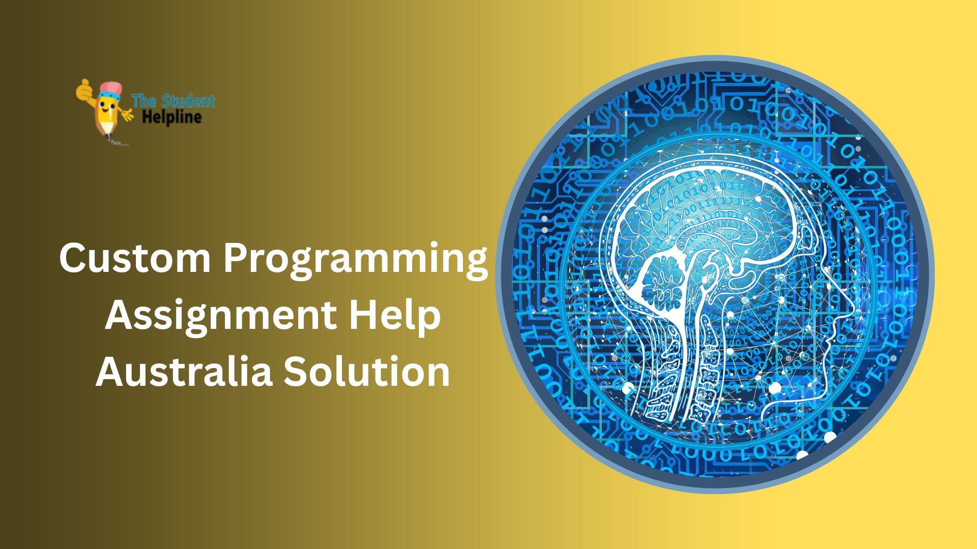 Custom Programming Assignment Help Australia Solutions