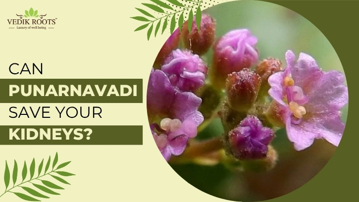 Punarnavadi guggulu for kidney