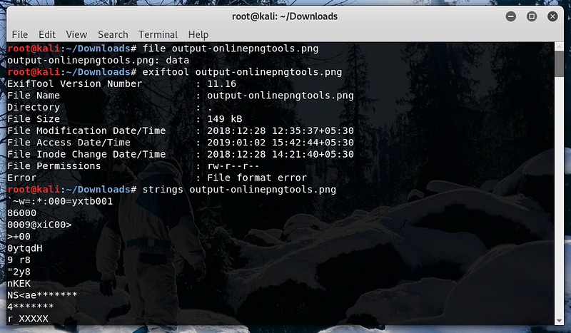 CyberTeam India Internship CTF