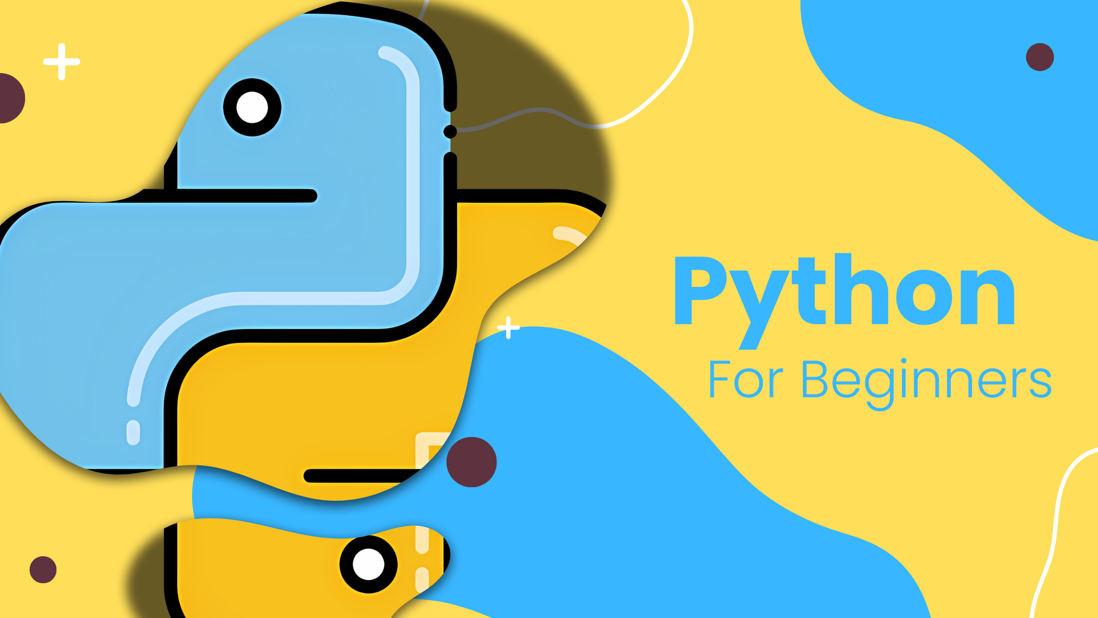 Python for beginners