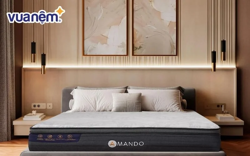 Top 6 đệm hiệu lò xo khách sạn đáng mua năm 2025