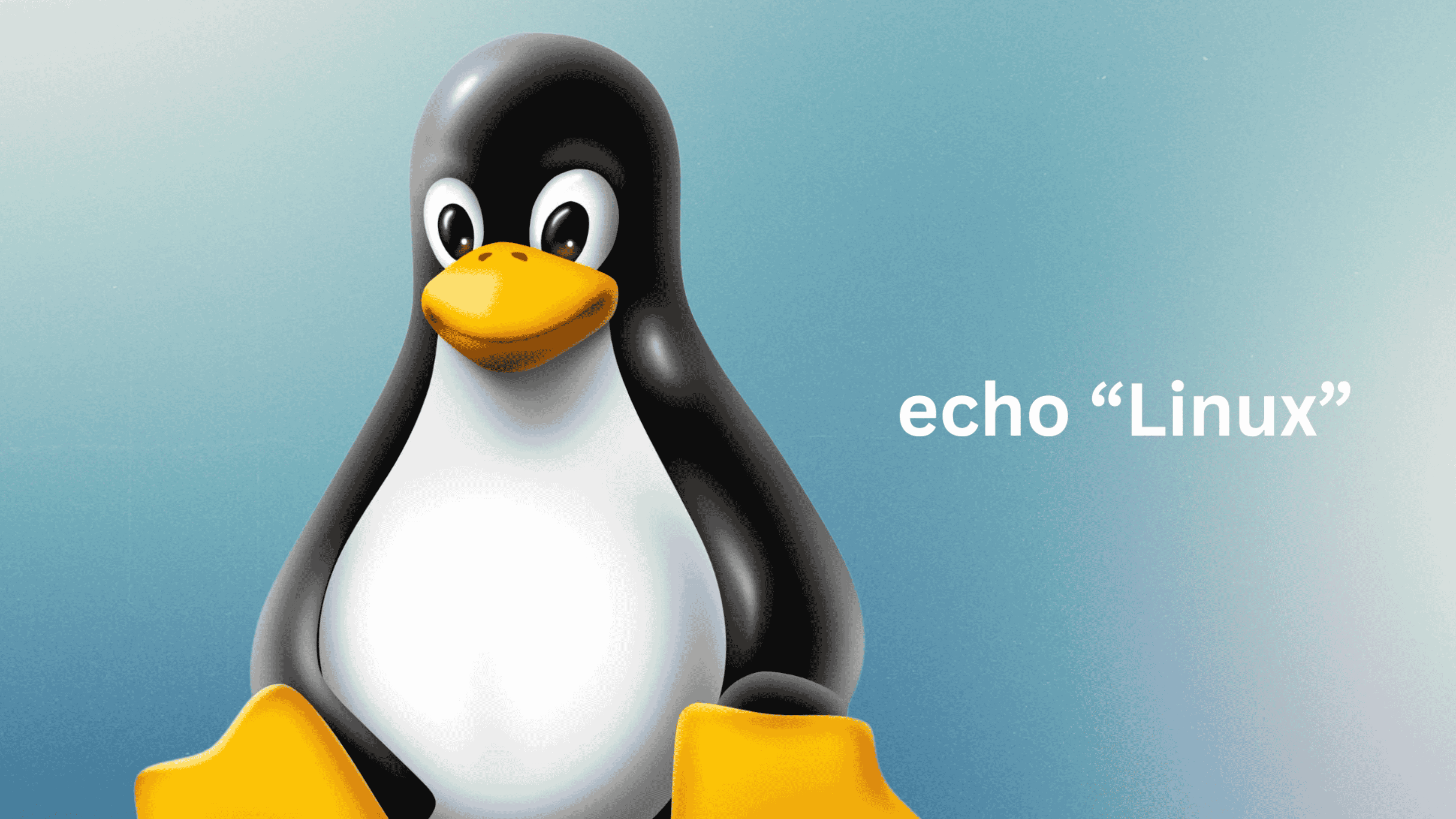 Linux
