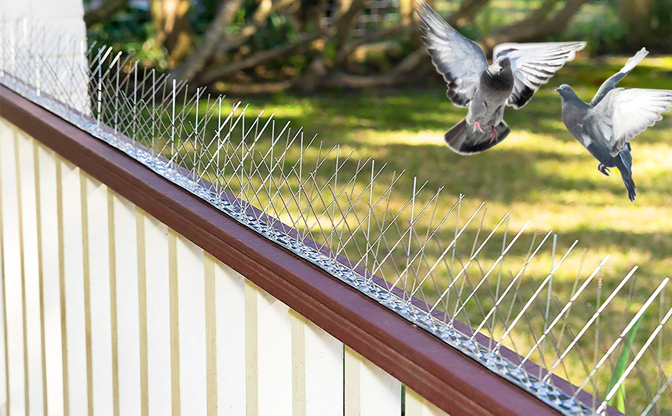 Bird Spikes Supplier in Dubai: Keeping Properties Clean and Safe