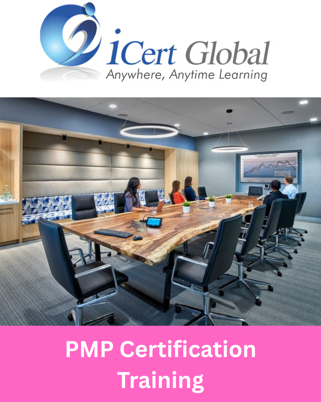 PMP Certification Training in Chicago , IL