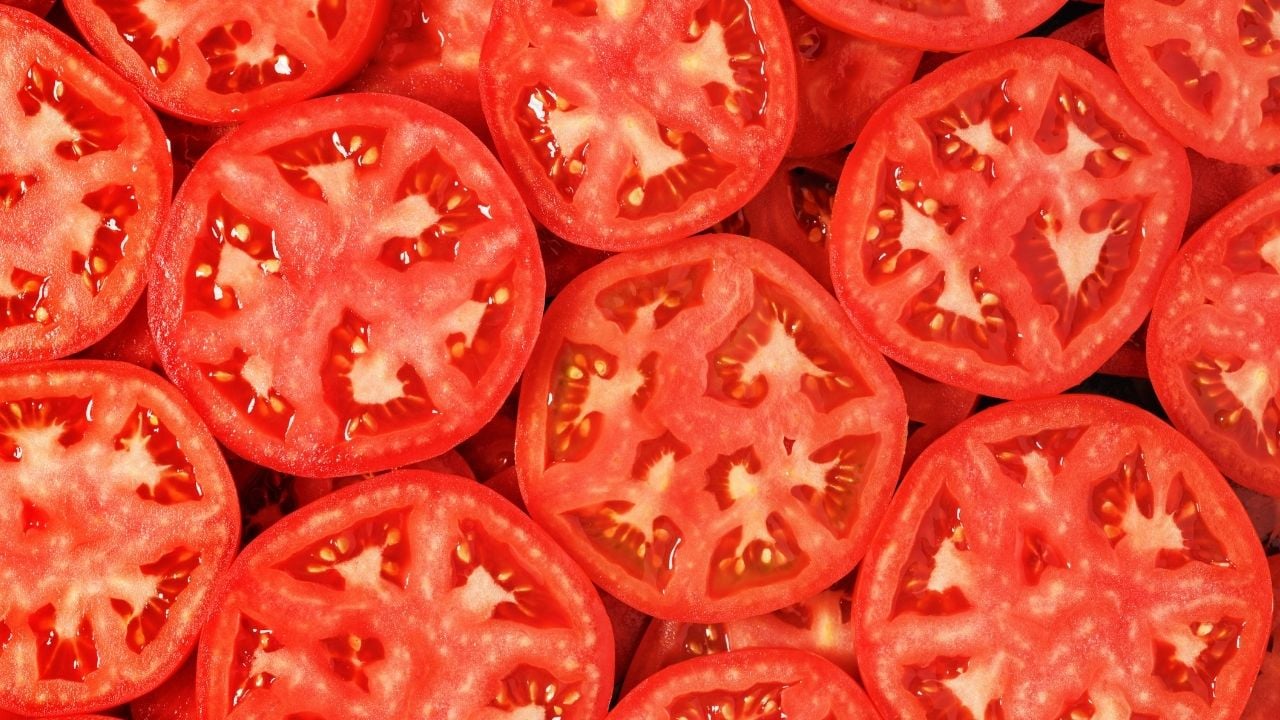 domates dilimleri