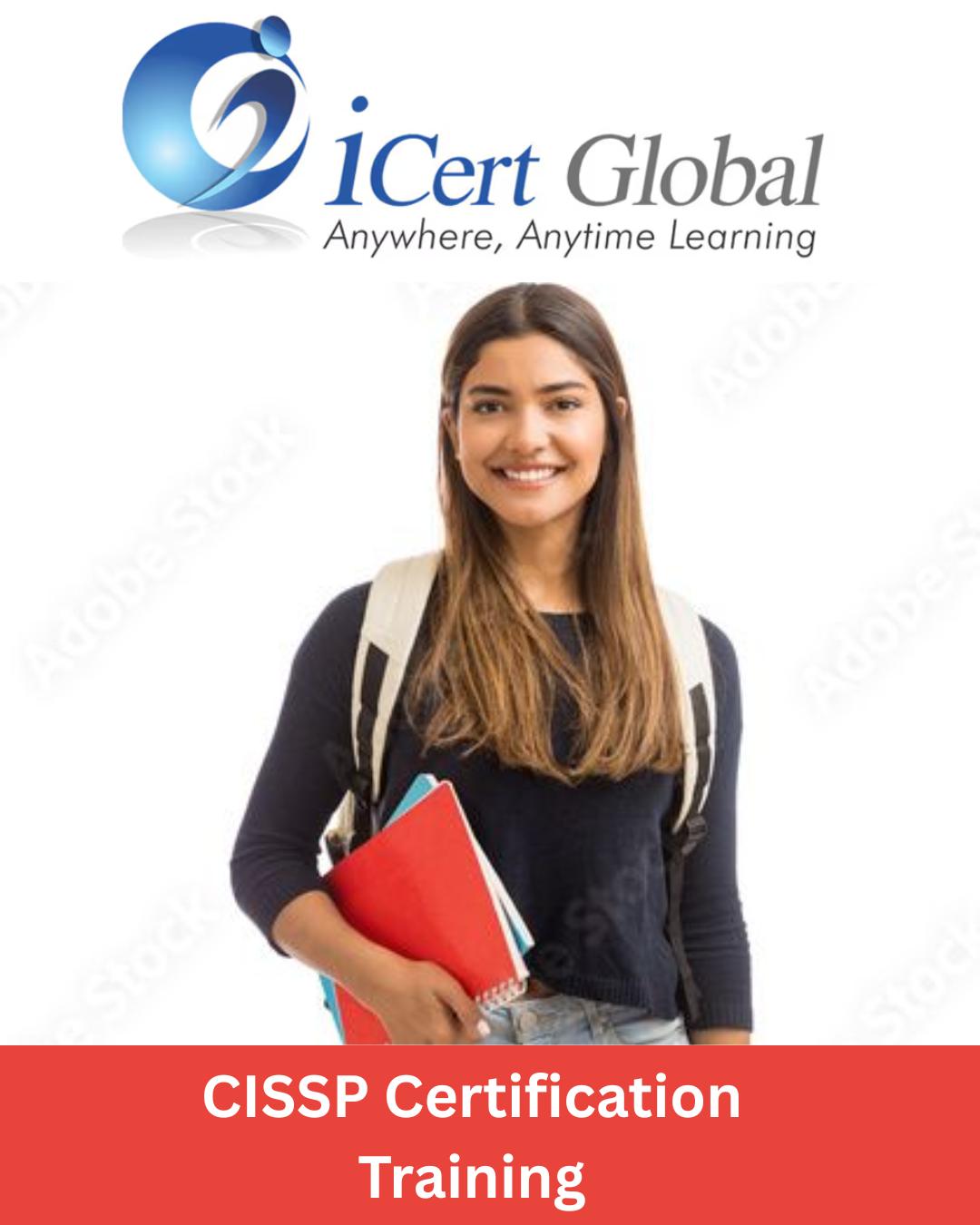 CISSP Certification Training in Midland , MI