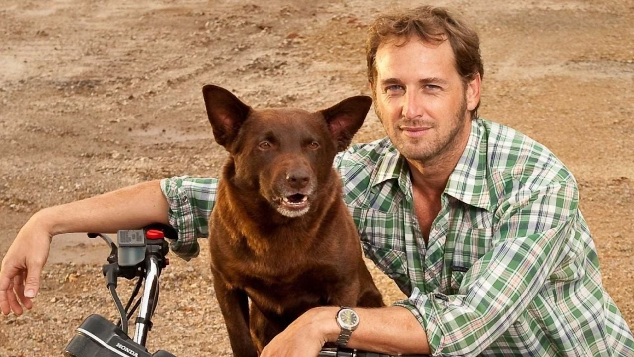 kızıl köpek filminden