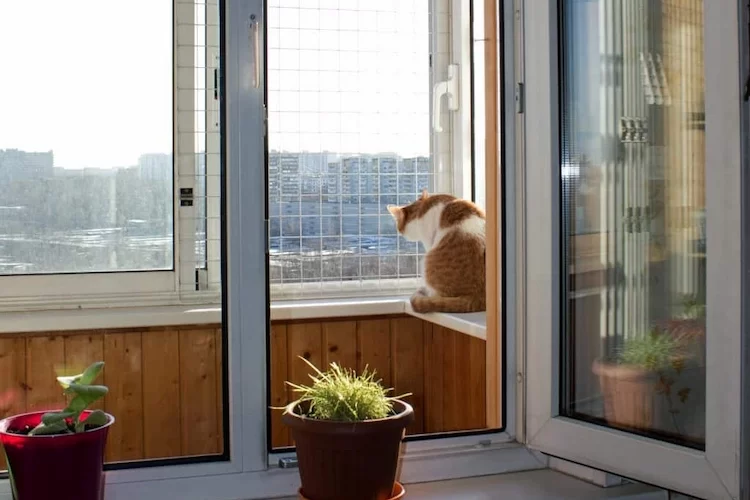 Enjoy the Outdoors, Cat Nets for Secure Garden Spaces