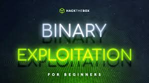 Mastering Binary Exploitation Techniques