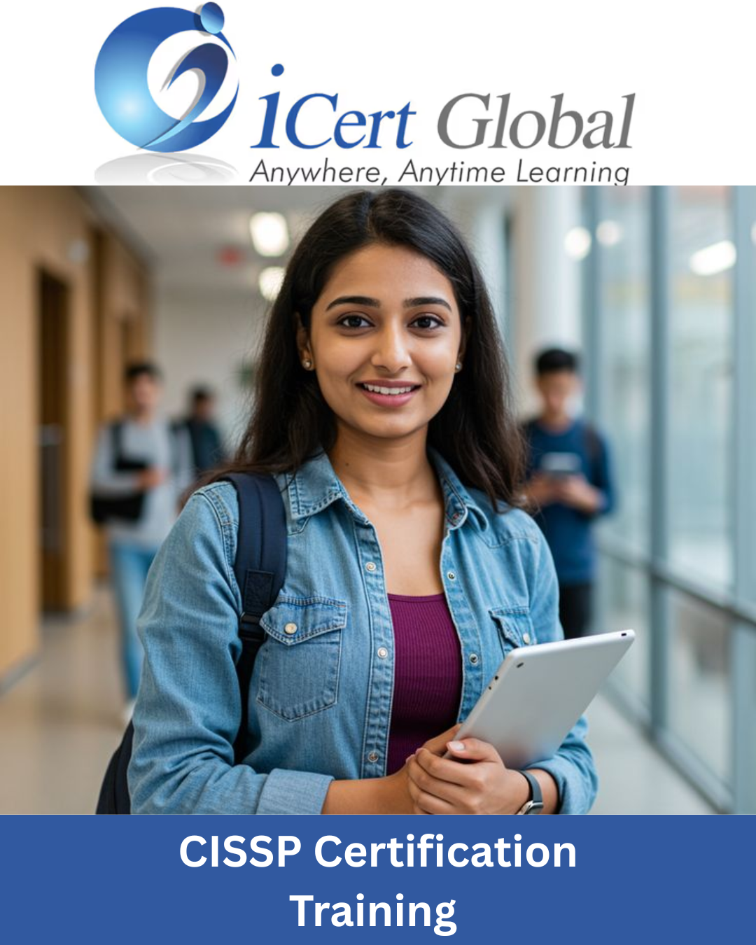 CISSP Certification Training in Flint , MI