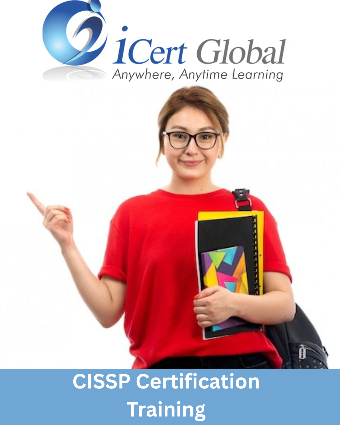 CISSP Certification Training in Taylor , MI
