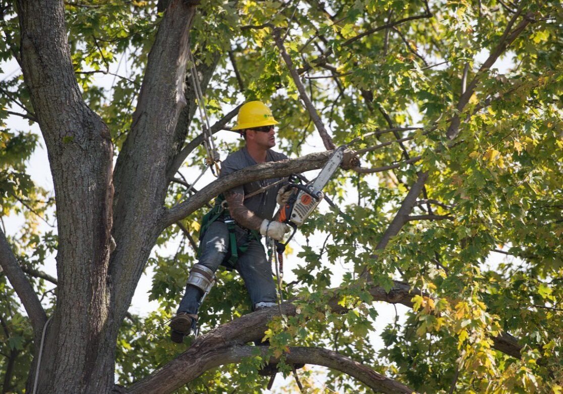 Safety Training Workplace | Safetraining.com