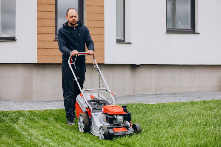 Choosing the Right Grass for Bradenton Yards